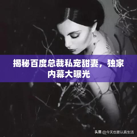 揭秘百度總裁私寵甜妻，獨家內(nèi)幕大曝光