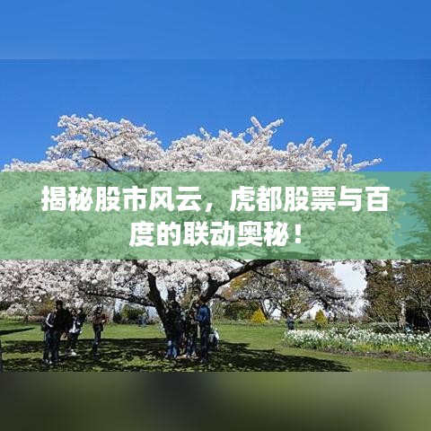 揭秘股市風(fēng)云，虎都股票與百度的聯(lián)動(dòng)奧秘！