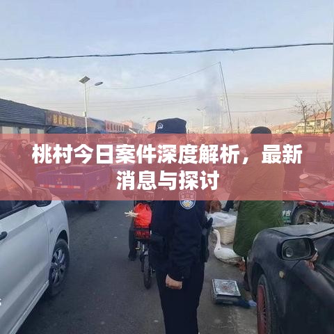 桃村今日案件深度解析，最新消息與探討