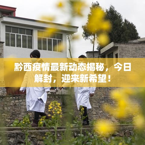 黔西疫情最新動(dòng)態(tài)揭秘，今日解封，迎來(lái)新希望！