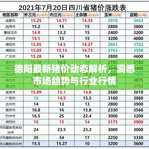 德陽最新豬價(jià)動(dòng)態(tài)解析，洞悉市場(chǎng)趨勢(shì)與行業(yè)行情
