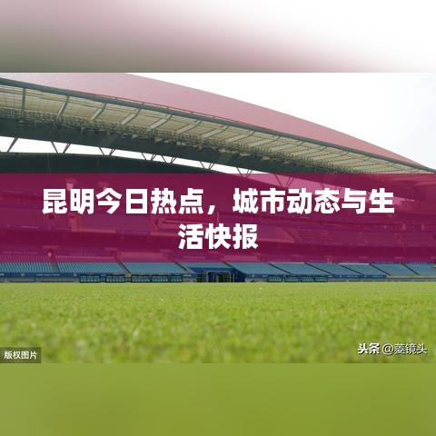 昆明今日熱點，城市動態(tài)與生活快報