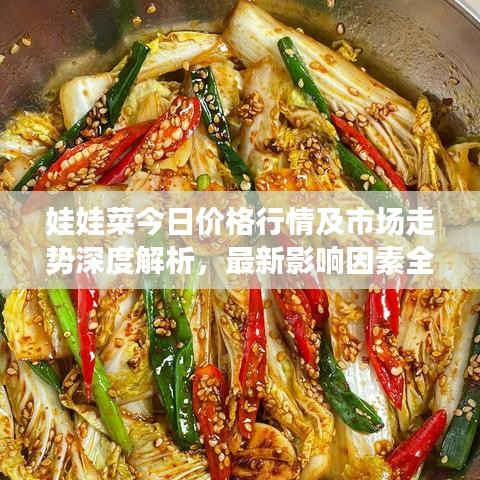 娃娃菜今日價(jià)格行情及市場(chǎng)走勢(shì)深度解析，最新影響因素全解析