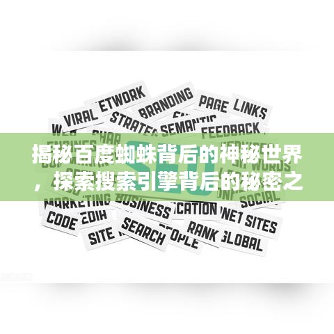 揭秘百度蜘蛛背后的神秘世界，探索搜索引擎背后的秘密之旅