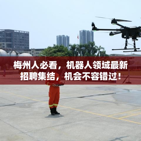 梅州人必看，機(jī)器人領(lǐng)域最新招聘集結(jié)，機(jī)會(huì)不容錯(cuò)過(guò)！