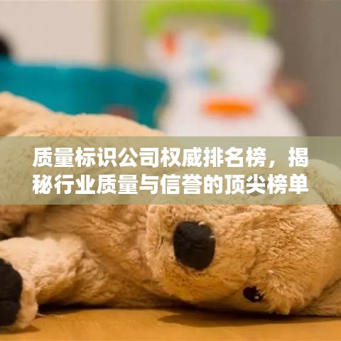 質(zhì)量標(biāo)識(shí)公司權(quán)威排名榜，揭秘行業(yè)質(zhì)量與信譽(yù)的頂尖榜單