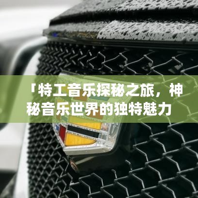 「特工音樂探秘之旅，神秘音樂世界的獨(dú)特魅力一網(wǎng)打盡」