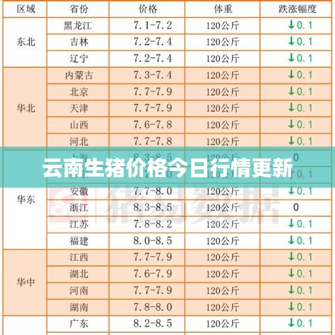 云南生豬價格今日行情更新