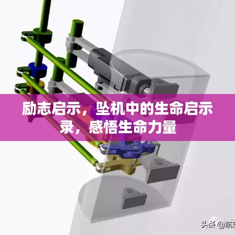 勵(lì)志啟示，墜機(jī)中的生命啟示錄，感悟生命力量