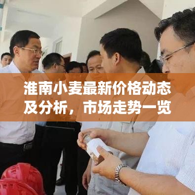 淮南小麥最新價(jià)格動(dòng)態(tài)及分析，市場走勢一覽