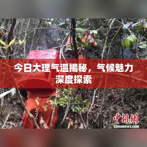 今日大理氣溫揭秘，氣候魅力深度探索