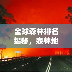 全球森林排名揭秘，森林地位與重要性的深度剖析