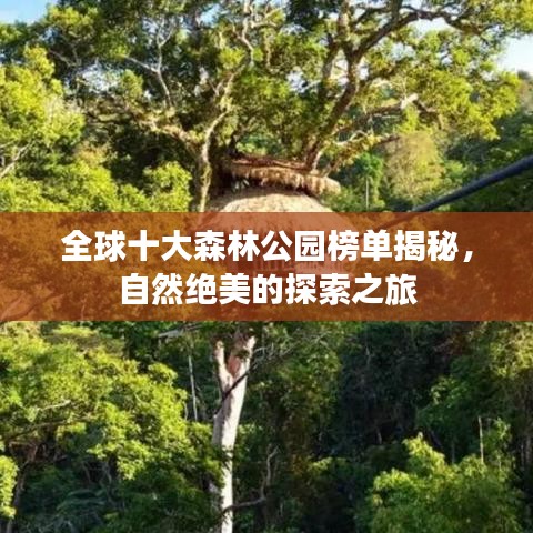 全球十大森林公園榜單揭秘，自然絕美的探索之旅