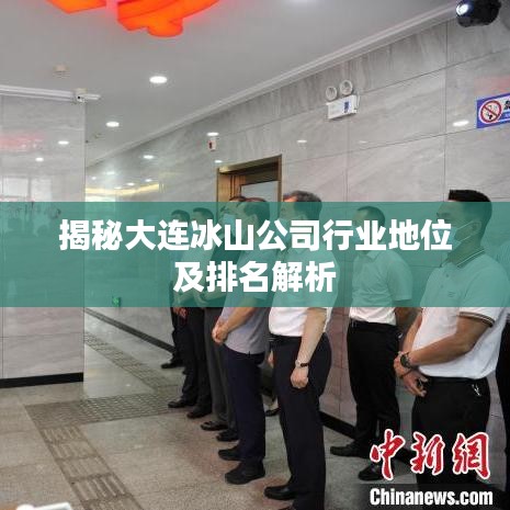 揭秘大連冰山公司行業(yè)地位及排名解析