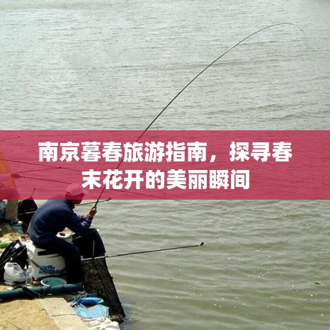 南京暮春旅游指南，探尋春末花開的美麗瞬間