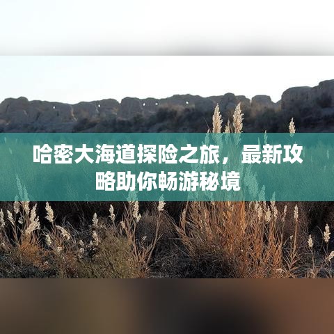 哈密大海道探險(xiǎn)之旅，最新攻略助你暢游秘境