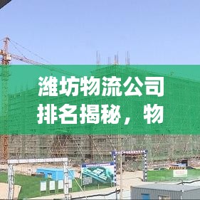 濰坊物流公司排名揭秘，物流行業(yè)的佼佼者解讀