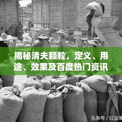揭秘清夫顆粒，定義、用途、效果及百度熱門資訊全解析