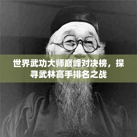 世界武功大師巔峰對決榜，探尋武林高手排名之戰(zhàn)