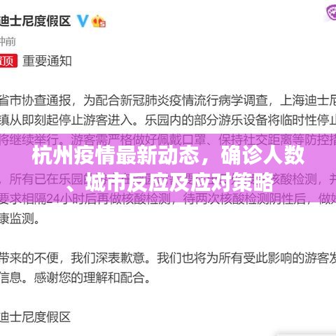 杭州疫情最新動(dòng)態(tài)，確診人數(shù)、城市反應(yīng)及應(yīng)對(duì)策略