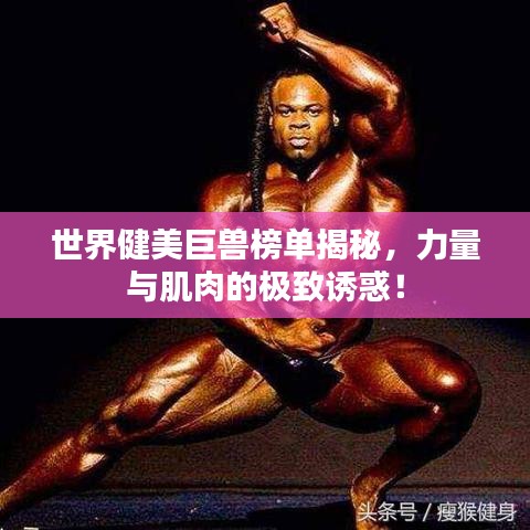 世界健美巨獸榜單揭秘，力量與肌肉的極致誘惑！