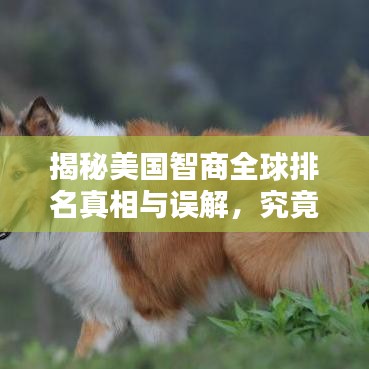 揭秘美國智商全球排名真相與誤解，究竟位列世界第幾？