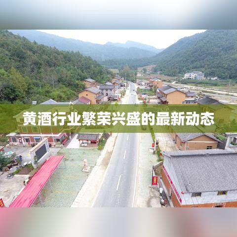 黃酒行業(yè)繁榮興盛的最新動態(tài)