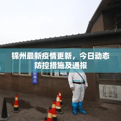 錦州最新疫情更新，今日動態(tài)防控措施及通報