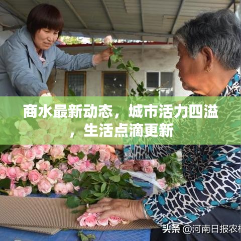 商水最新動(dòng)態(tài)，城市活力四溢，生活點(diǎn)滴更新