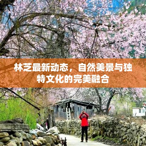 林芝最新動(dòng)態(tài)，自然美景與獨(dú)特文化的完美融合