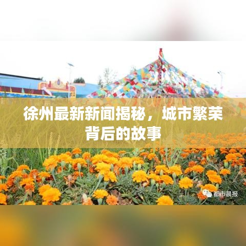 徐州最新新聞揭秘，城市繁榮背后的故事