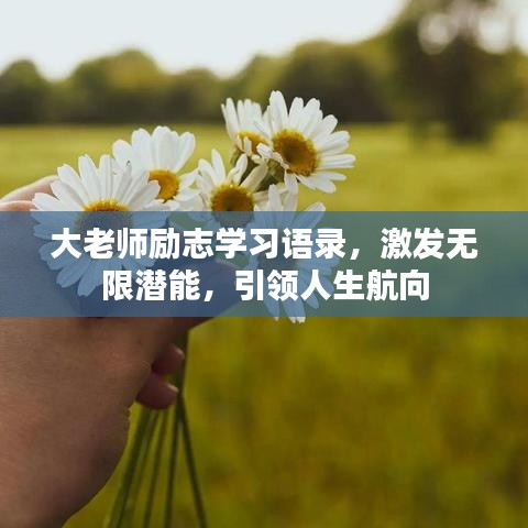 大老師勵志學(xué)習(xí)語錄，激發(fā)無限潛能，引領(lǐng)人生航向