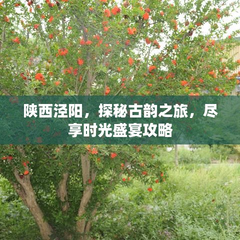 陜西涇陽，探秘古韻之旅，盡享時光盛宴攻略