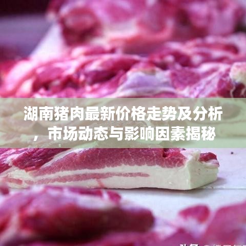 湖南豬肉最新價格走勢及分析，市場動態(tài)與影響因素揭秘