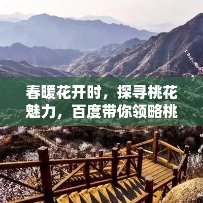 春暖花開時(shí)，探尋桃花魅力，百度帶你領(lǐng)略桃花之美
