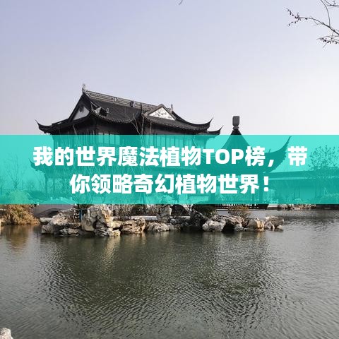 我的世界魔法植物TOP榜，帶你領(lǐng)略奇幻植物世界！