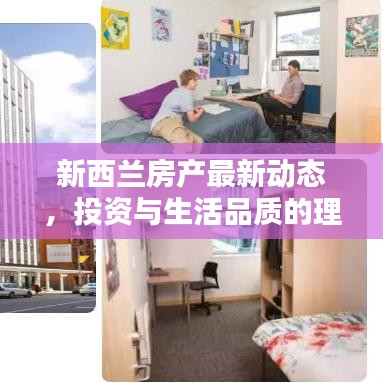 新西蘭房產(chǎn)最新動態(tài)，投資與生活品質(zhì)的理想選擇居所