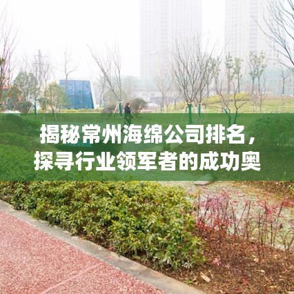 揭秘常州海綿公司排名，探尋行業(yè)領(lǐng)軍者的成功奧秘！
