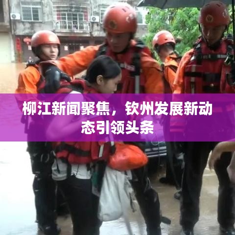 柳江新聞聚焦，欽州發(fā)展新動(dòng)態(tài)引領(lǐng)頭條