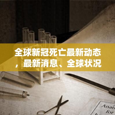 全球新冠死亡最新動態(tài)，最新消息、全球狀況及應對策略揭秘