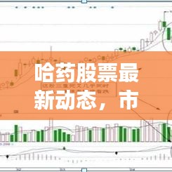 哈藥股票最新動(dòng)態(tài)，市場(chǎng)走勢(shì)及前景展望一網(wǎng)打盡！