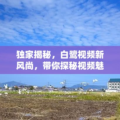 獨(dú)家揭秘，白鷺視頻新風(fēng)尚，帶你探秘視頻魅力！