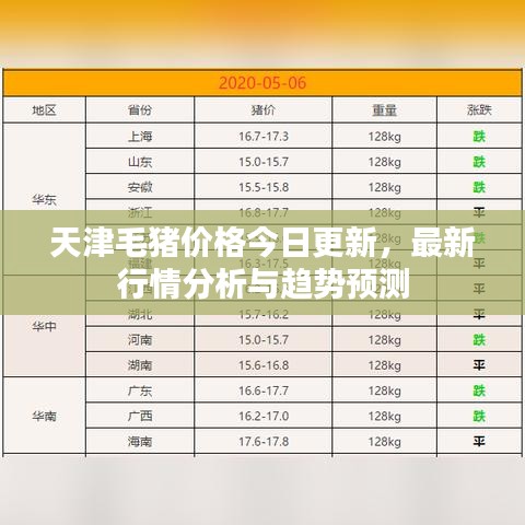 天津毛豬價(jià)格今日更新，最新行情分析與趨勢(shì)預(yù)測(cè)