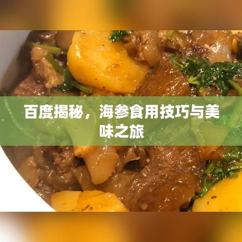 百度揭秘，海參食用技巧與美味之旅