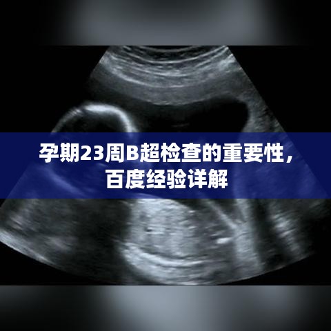 孕期23周B超檢查的重要性，百度經(jīng)驗詳解