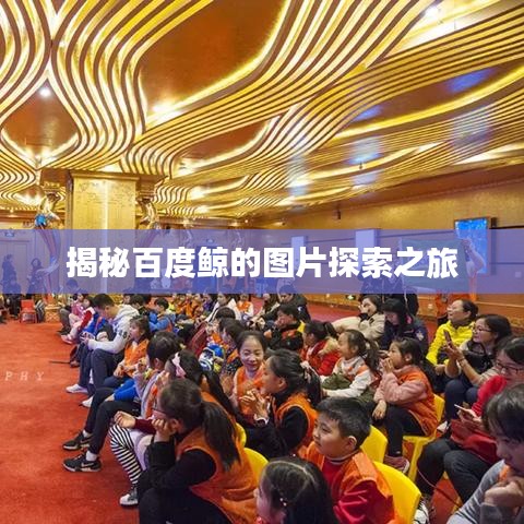 揭秘百度鯨的圖片探索之旅