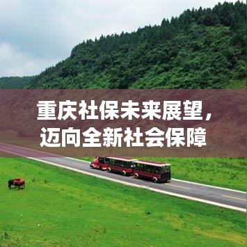 重慶社保未來展望，邁向全新社會保障體系，2024年更新動態(tài)揭秘！