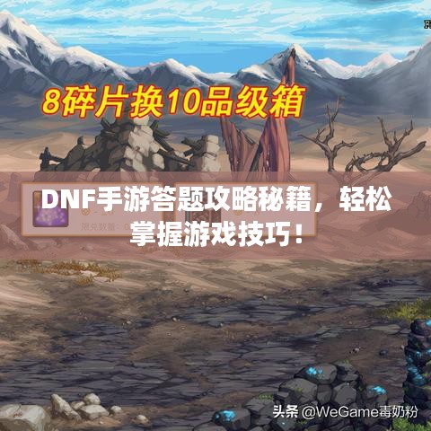 DNF手游答題攻略秘籍，輕松掌握游戲技巧！