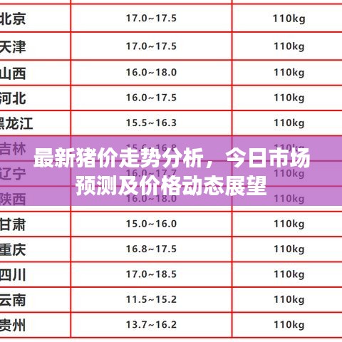 最新豬價走勢分析，今日市場預測及價格動態(tài)展望