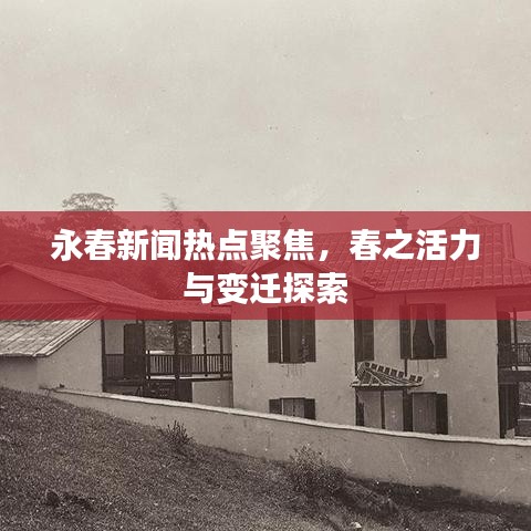 永春新聞熱點聚焦，春之活力與變遷探索